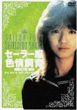 这个杀手不太冷 电影 1994 吕克·贝松